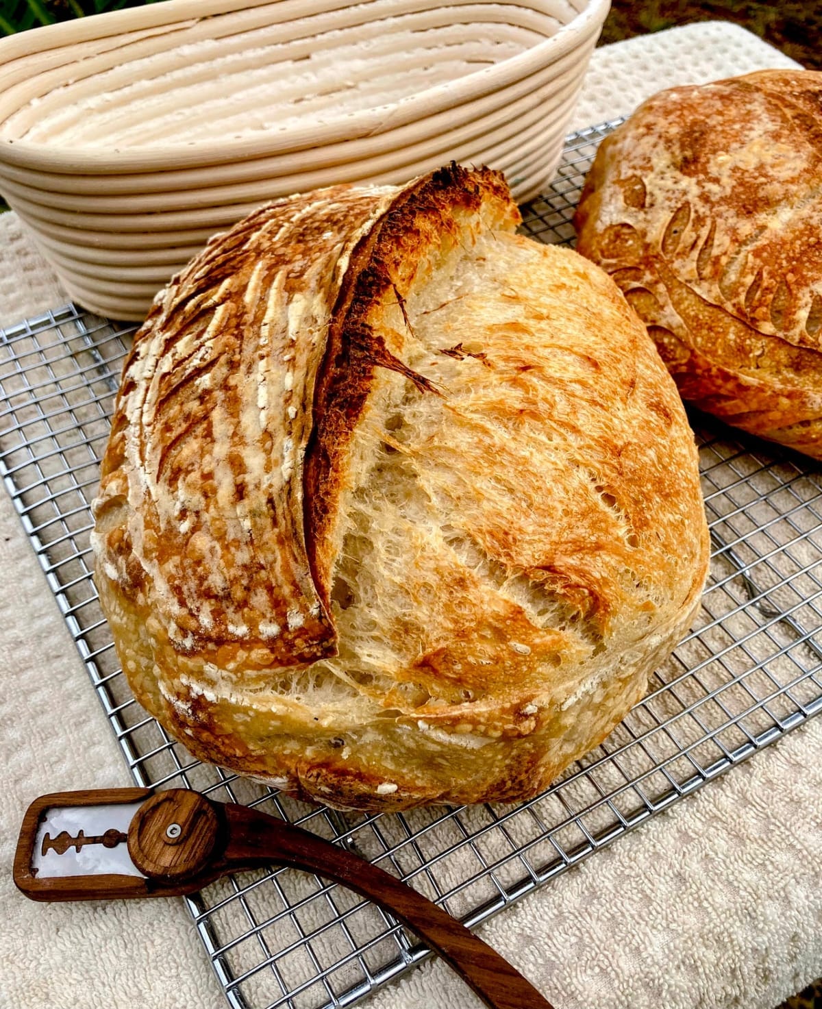 Your First Sourdough Loaf