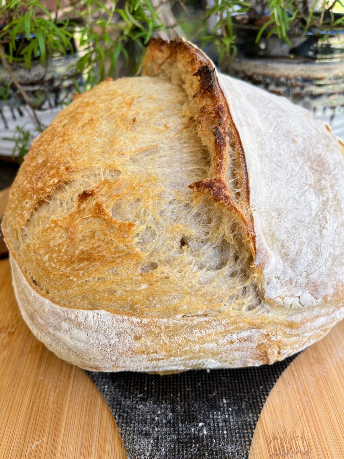 Your First Yeast Water Loaf | Baking Great Bread at Home