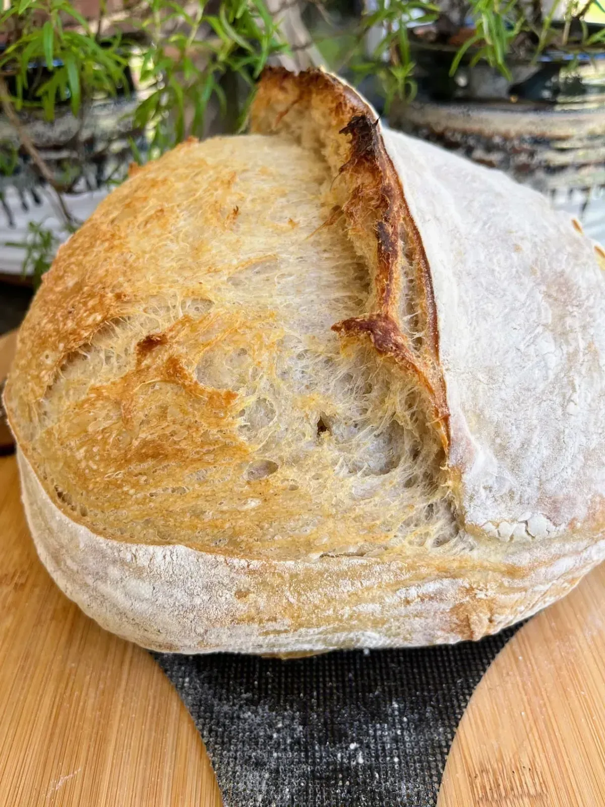 Your First Yeast Water Loaf