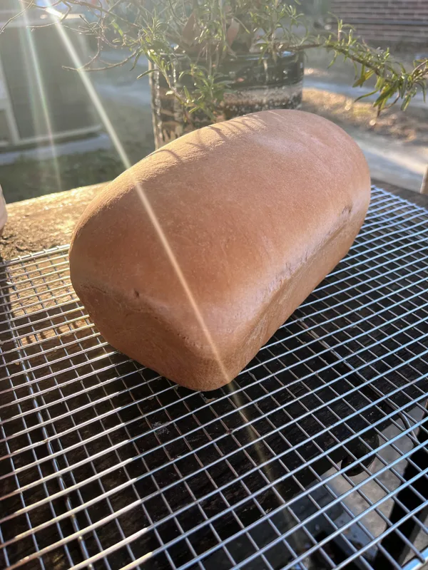 Fresh-Milled Hard White Sandwich Bread