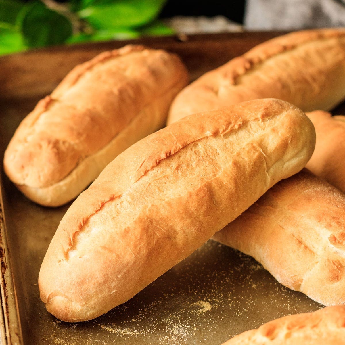 Sourdough Hoagie Rolls